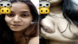 Chennai desi mega mulai kanbithu video call ool seigiral