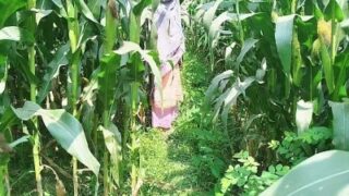 Gramathu pacha thevidiya aunty farm houselil ool adikiral